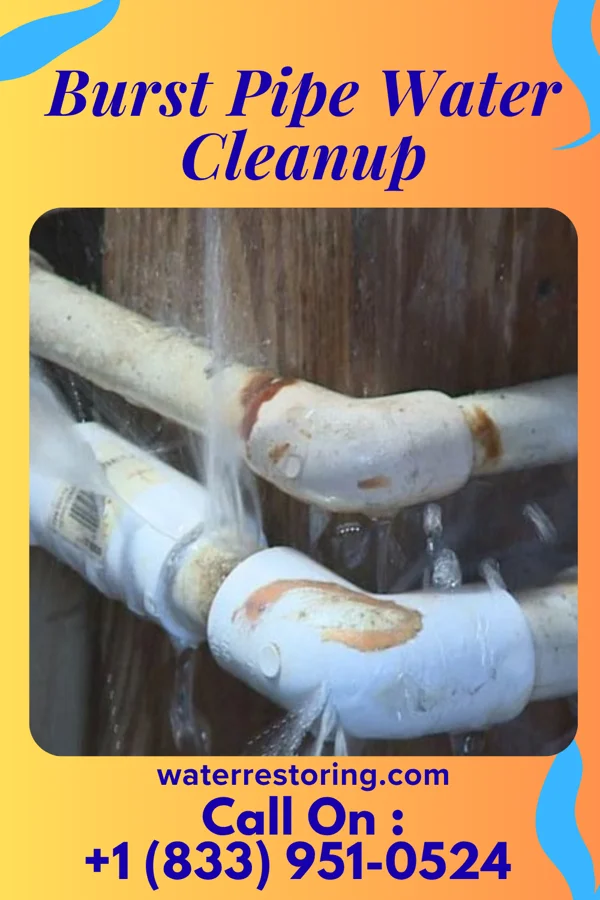 Burst Pipe Water Cleanup in Auburn, NJ