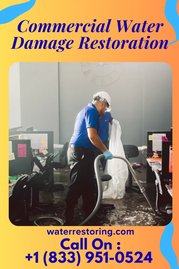 Commercial Water Damage Restoration in Auburn, NJ
