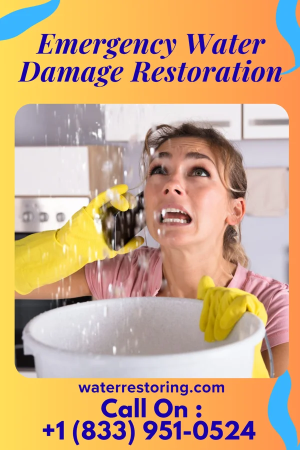 Emergency Water Damage Restoration in Auburn, NJ