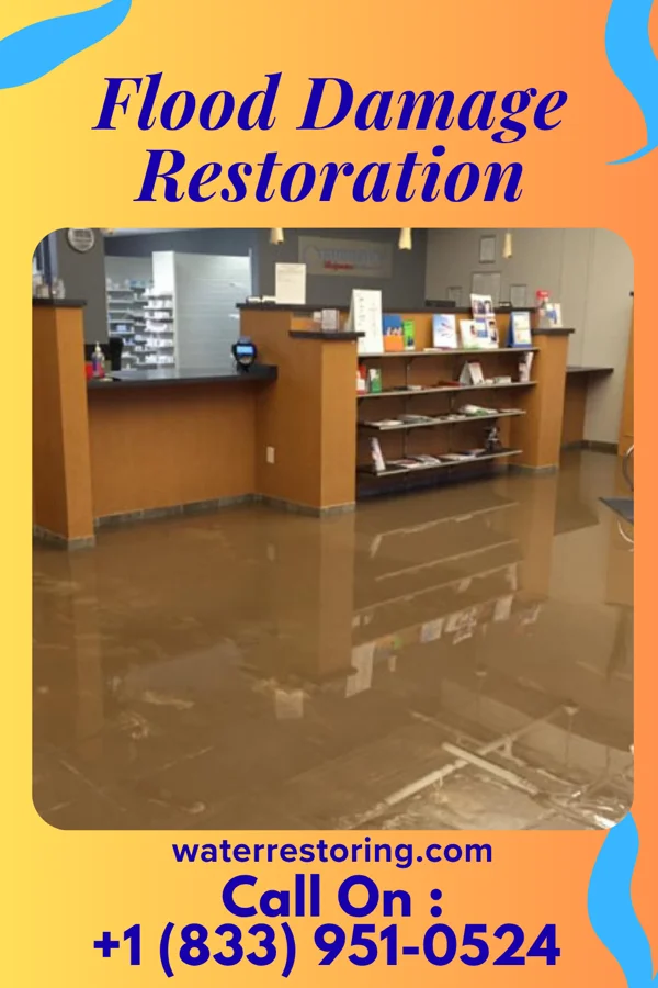 Flood Damage Restoration in Auburn, NJ