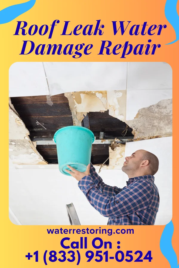 Roof Leak Water Damage Repair in Auburn, NJ