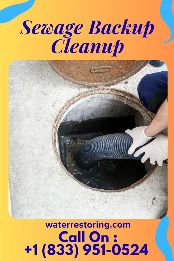 Sewage Backup Cleanup in Auburn, NJ