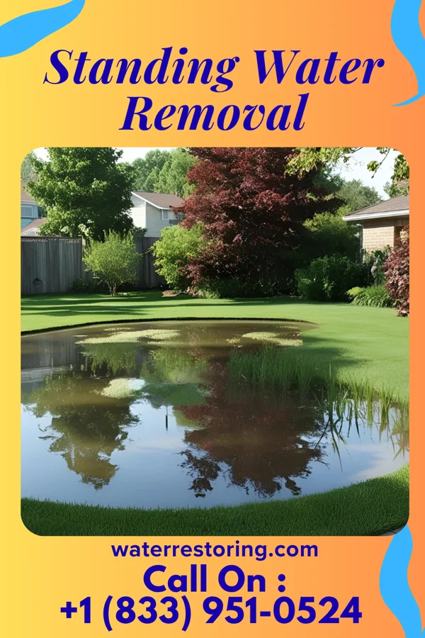 Standing Water Removal in Auburn, NJ